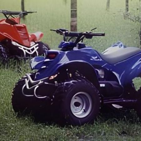 Ein rotes und ein blaues Quad auf einer grünen Wiese